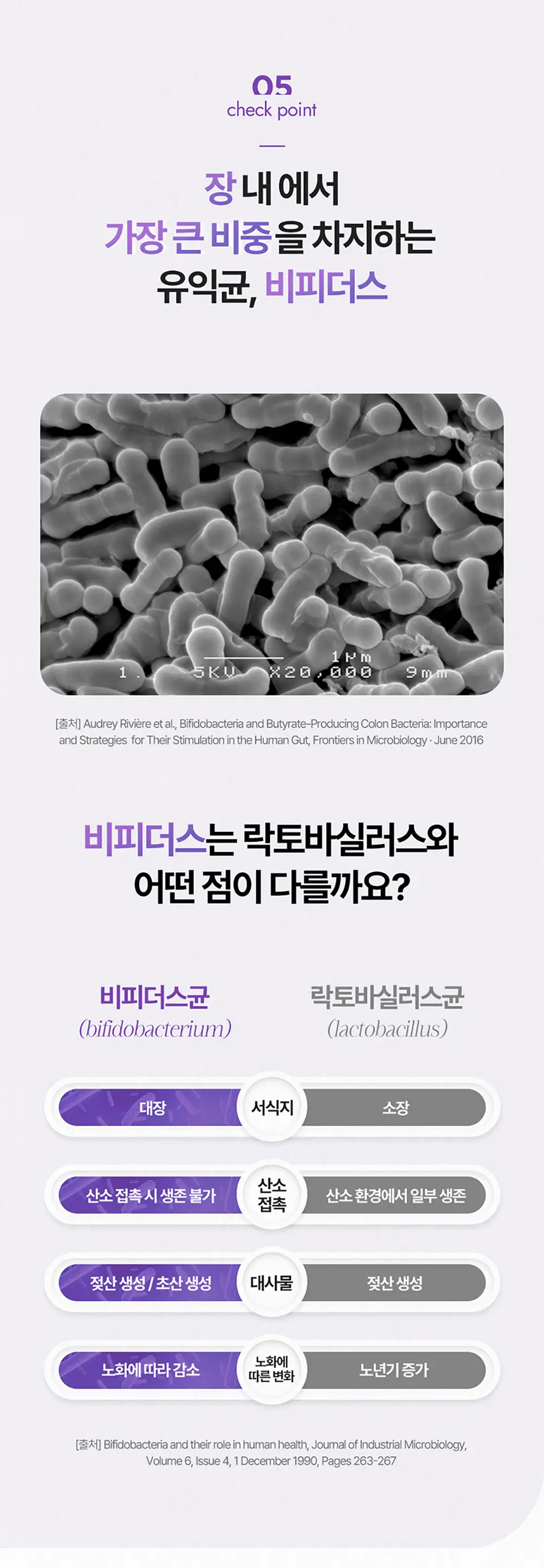 [비피더스 유산균]비피움 비쓰리 다이어트 28캡슐 (4주분) 상세페이지 8